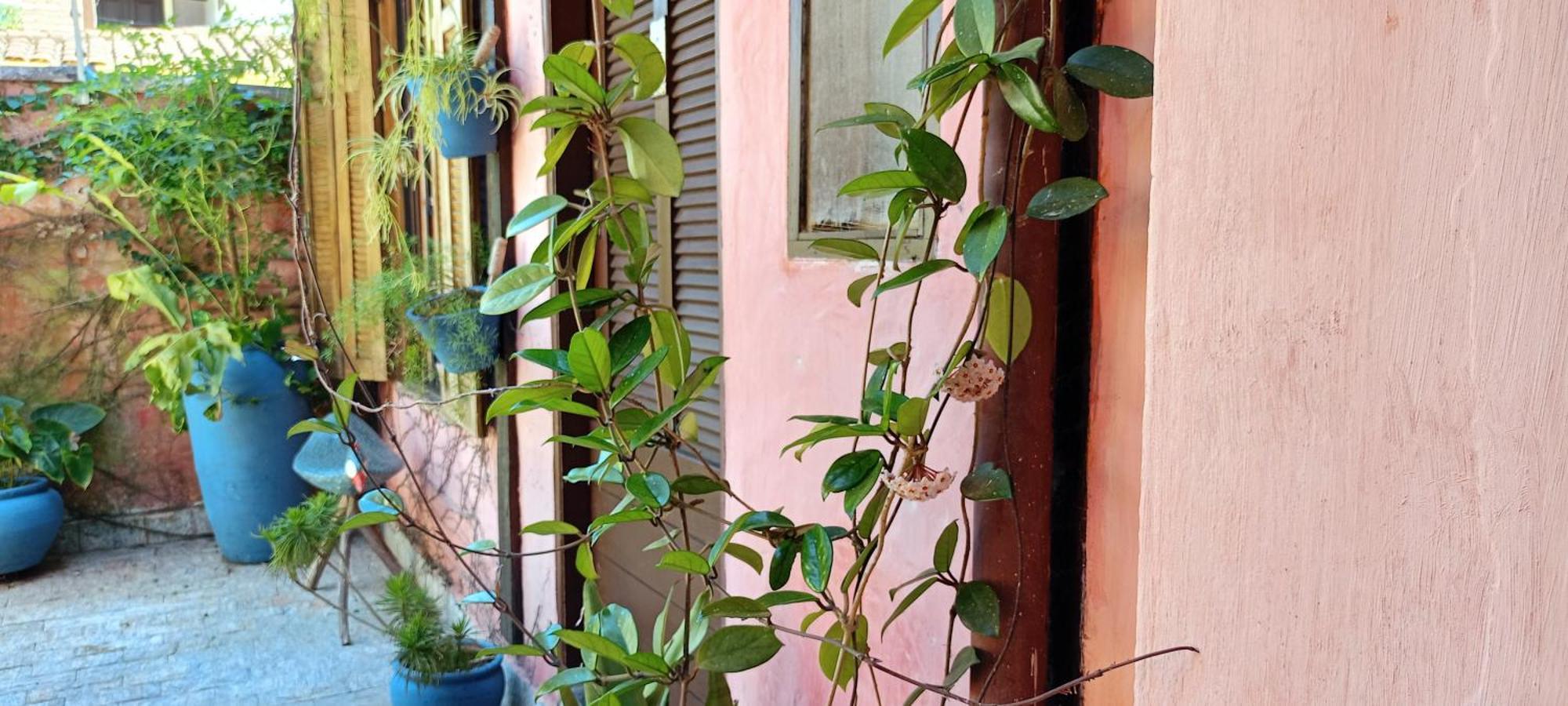 Homestay Santa Rosa