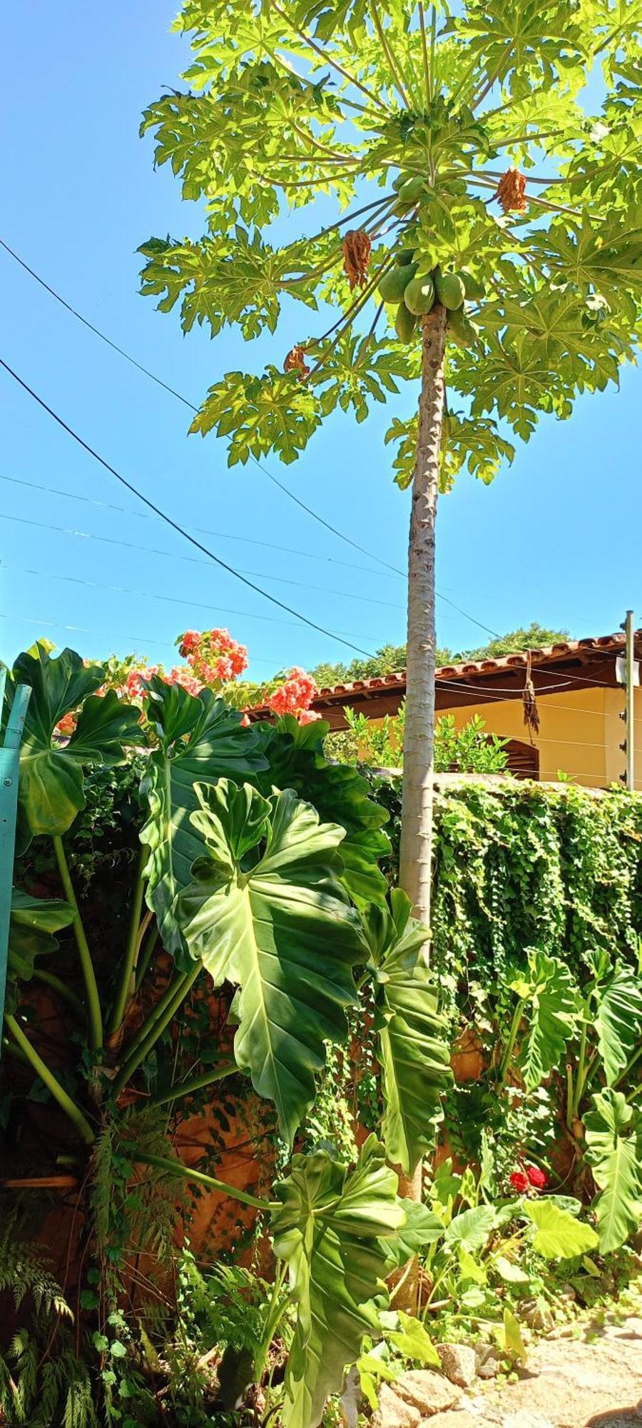 Santa Rosa Homestay